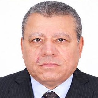 الأستاذ المستشار عماد عمارة
