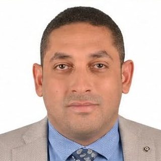 الأستاذ الدكتور حسام الدين محمود محمد